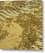 Beach Desertscape Metal Print