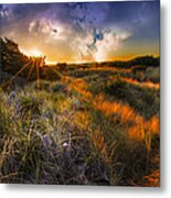 Beach Dunes Metal Print