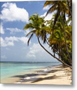 Beach Pigeon Point Tobago West Indies Metal Print