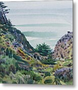 Beach Trail Metal Print