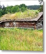 Bear Springs Metal Print