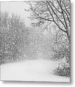 Beautiful Blizzard Metal Print