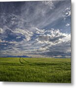 Beautiful Countryside Metal Print