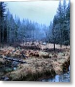 #beautiful #nature #america #vacouver Metal Print