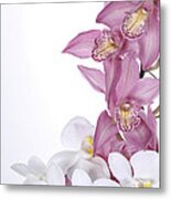 Beautiful Orchid Pink Metal Print