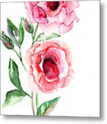 Beautiful Roses Flowers Metal Print