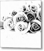 Beautiful Roses Metal Print