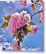 Beautiful Springtime Metal Print