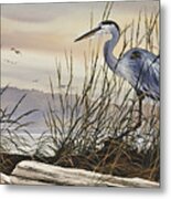 Beauty Along The Shore Metal Print