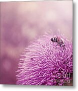 Beauty And The Bee Metal Print