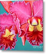 Beauty Of A Flower - Cattleya Orchid Metal Print