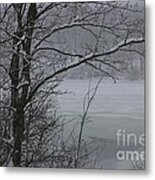 Beauty Of Winter Metal Print