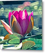 Beauty On The Water Metal Print