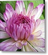 Beauty With Double Identity Metal Print