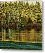 Beaver Lake Metal Print