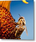 Bee On Sunflower Metal Print