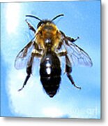 Bee Metal Print