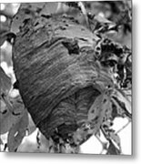 Beehive Metal Print