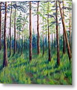 Bella Coola Forest Metal Print