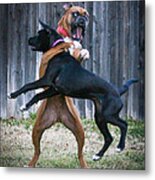 Best Of Friends Metal Print