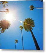 Beverly Hills Palm Trees Metal Print
