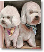 Bichon Frise Metal Print