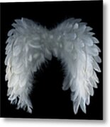 Big Angel Wings Metal Print