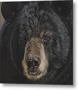 Big Black Bear Metal Print