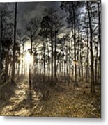 Big Cypress Fire At Sunset Metal Print