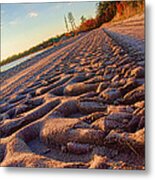 Big Green Tracks Metal Print