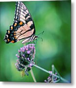 Big Guy Lecturing Little Guy Metal Print