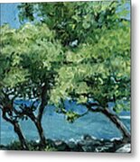 Big Island Trees Metal Print