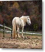 Big Man Color Metal Print