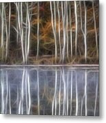 Birch Trees Metal Print