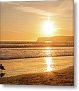 Bird And His Sunset Metal Print