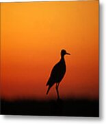 Bird At Sunset Metal Print
