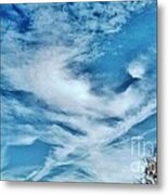 Bird Cloud Soaring By Metal Print