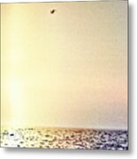 #bird #flying #high #over The #ocean - Metal Print