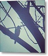 Bird In The Tree Metal Print