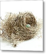 Bird Nest 1 Metal Print