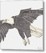 Bird Of Prey Metal Print