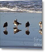 Bird Reflections Metal Print