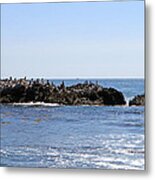 Bird Rock Metal Print