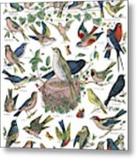 Birds, C1890 Metal Print