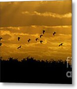 Birds Coming Back To Roost At Sunset Metal Print