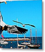 Birds In Paradise Metal Print