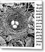 Bird's Nest With Scripture Metal Print