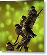 Birds Of A Feather Metal Print