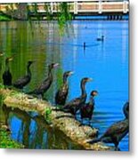 Birds Of A Feather Metal Print