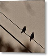 Birds On A Wire Metal Print